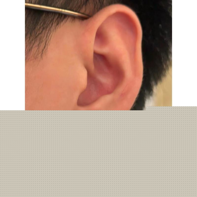 LV Earrings